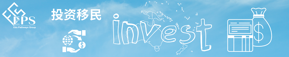 Blue Simple Creative Illustration Plane Business Visa Price Service Promotion Web Banner (1000 × 200 mm).png